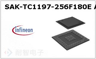 SAK-TC1197-256F180E AC