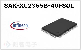 SAK-XC2365B-40F80L