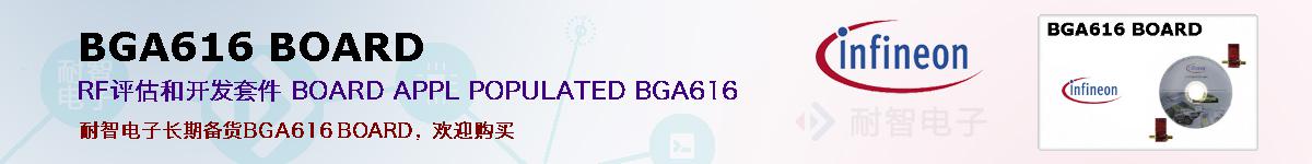 BGA616 BOARDıۺͼ