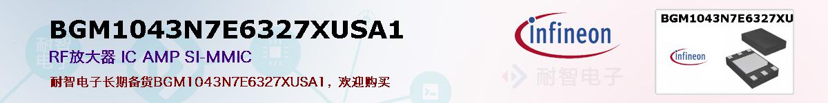 BGM1043N7E6327XUSA1ıۺͼ