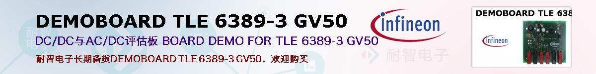 DEMOBOARD TLE 6389-3 GV50ıۺͼ