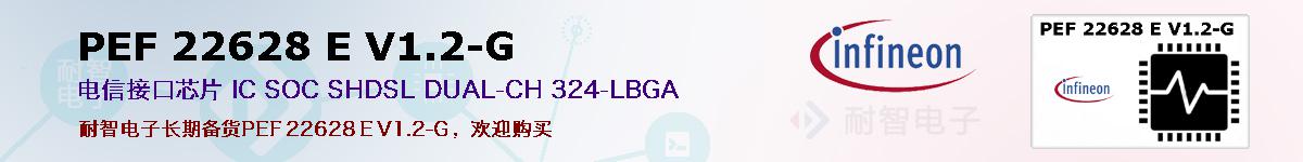 PEF 22628 E V1.2-Gıۺͼ