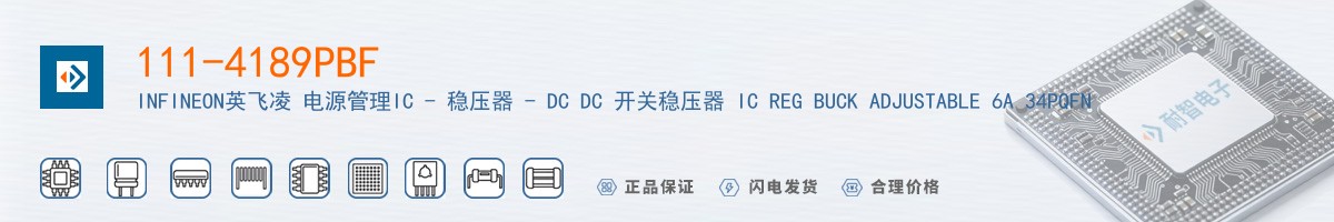 111-4189PBF������