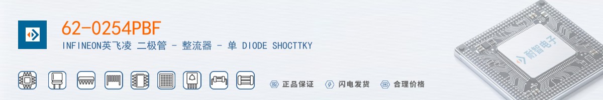 62-0254PBF������