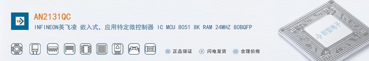 AN2131QC������