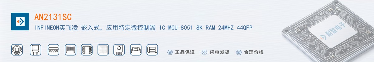 AN2131SC������