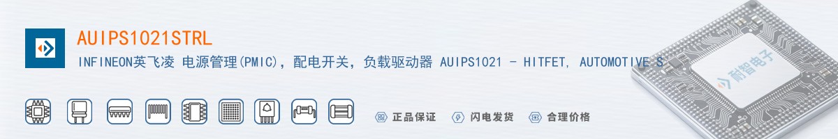 AUIPS1021STRL������