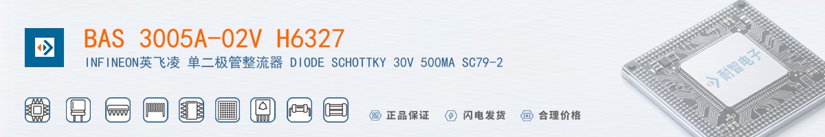 BAS 3005A-02V H6327������