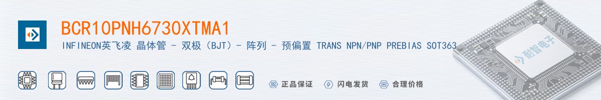 BCR10PNH6730XTMA1������