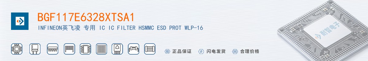 BGF117E6328XTSA1������