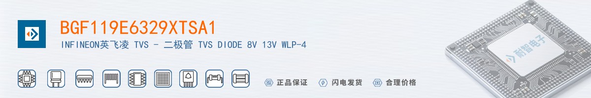 BGF119E6329XTSA1������