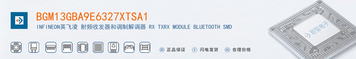 BGM13GBA9E6327XTSA1������