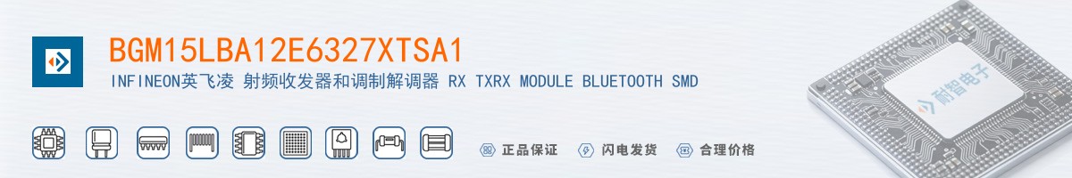 BGM15LBA12E6327XTSA1������