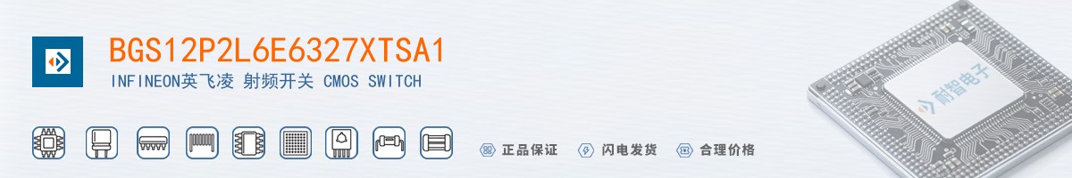 BGS12P2L6E6327XTSA1������