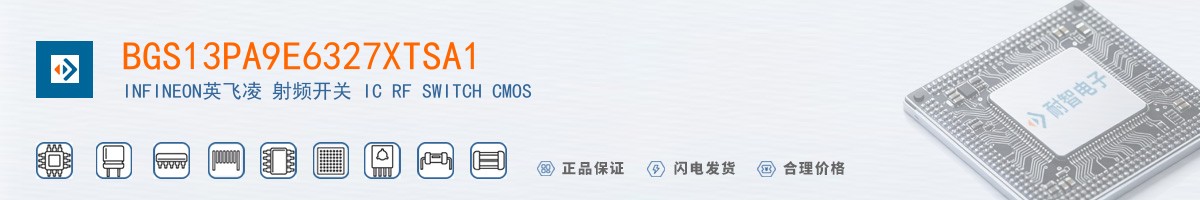 BGS13PA9E6327XTSA1������