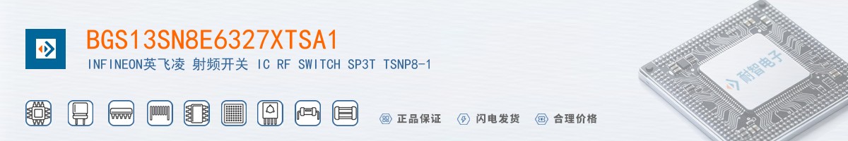 BGS13SN8E6327XTSA1������