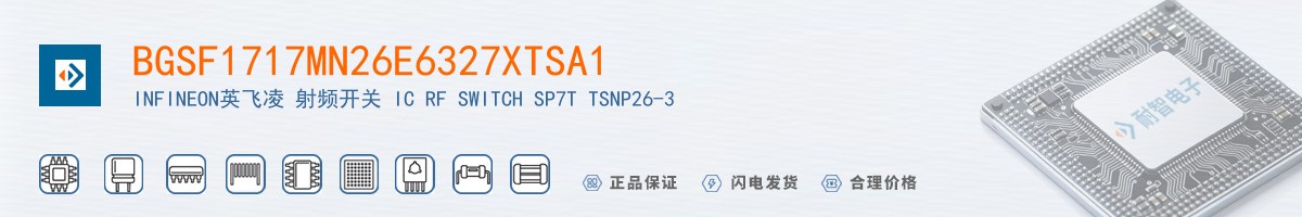 BGSF1717MN26E6327XTSA1������