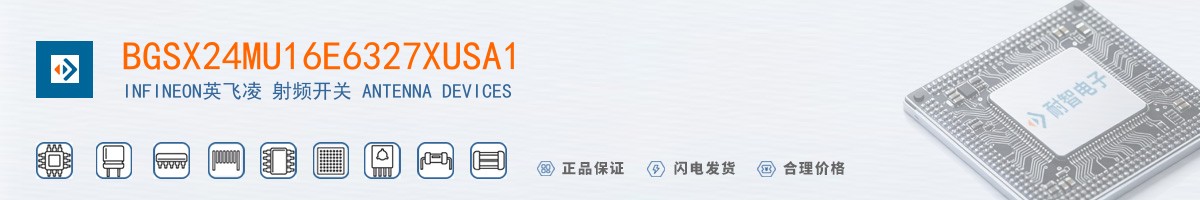 BGSX24MU16E6327XUSA1������