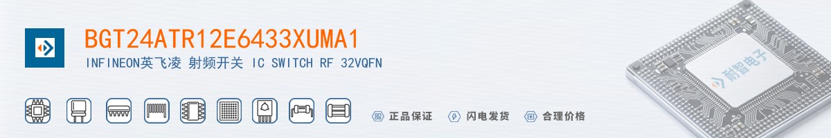 BGT24ATR12E6433XUMA1������
