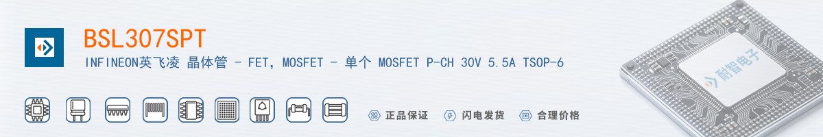 BSL307SPT������