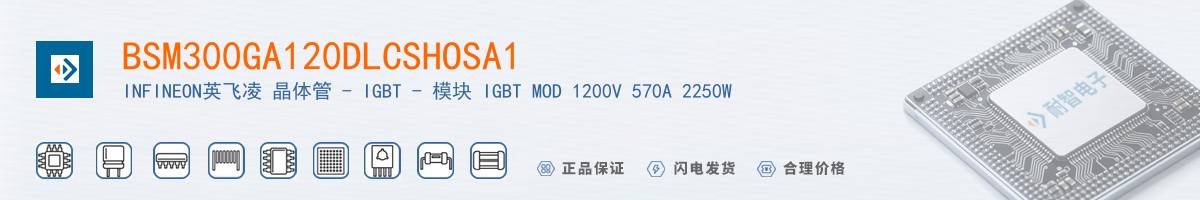 BSM300GA120DLCSHOSA1������