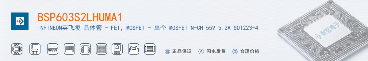 BSP603S2LHUMA1������