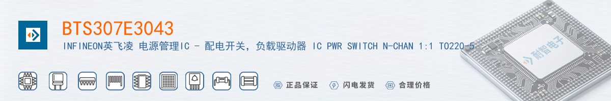 BTS307E3043������