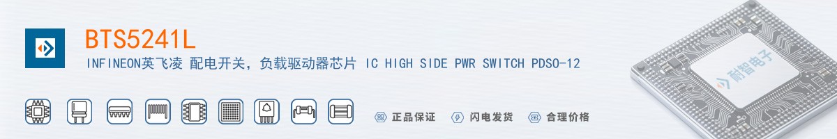 BTS5241L������