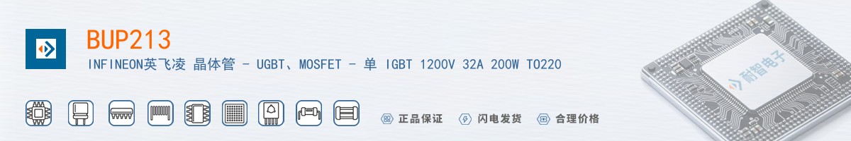 BUP213������