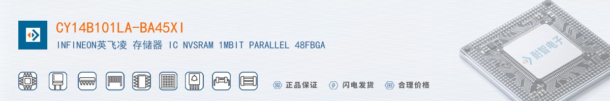 CY14B101LA-BA45XI������