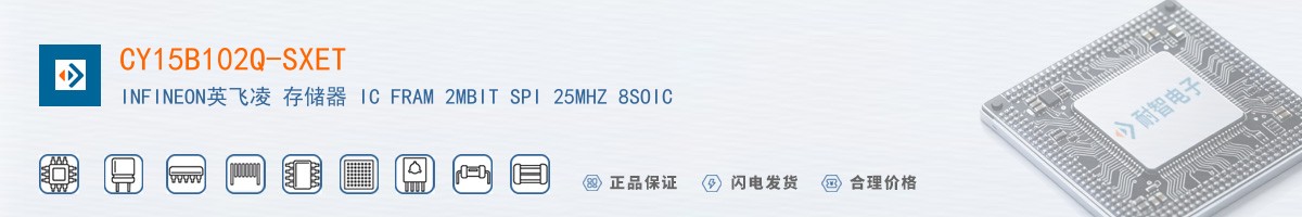 CY15B102Q-SXET������