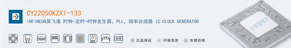 CY22050KZXI-133������