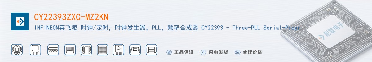 CY22393ZXC-MZ2KN������