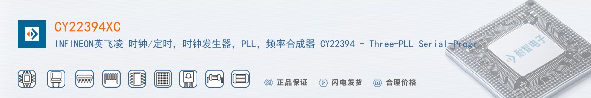 CY22394XC������