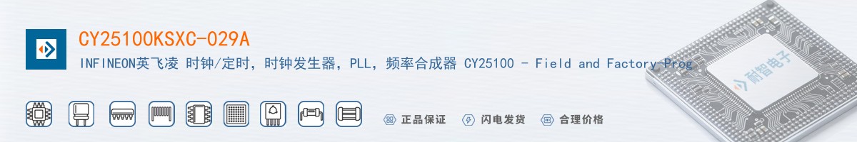 CY25100KSXC-029A������