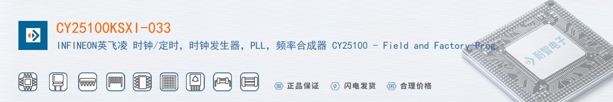 CY25100KSXI-033������
