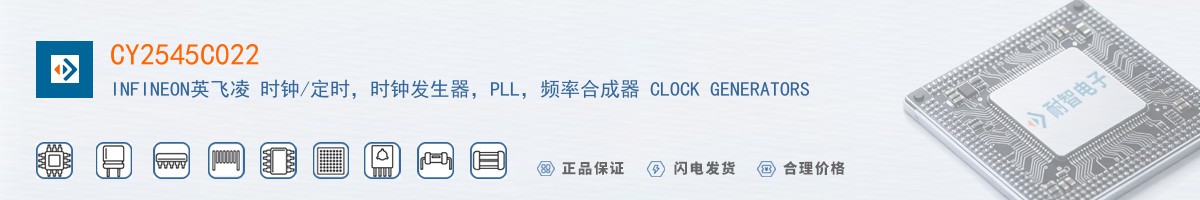 CY2545C022������