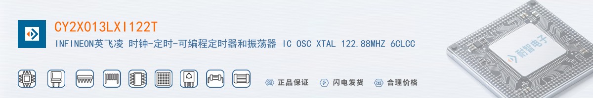 CY2X013LXI122T������