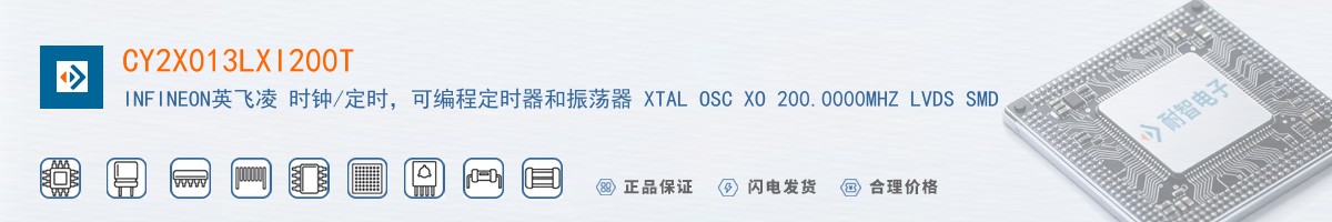 CY2X013LXI200T������