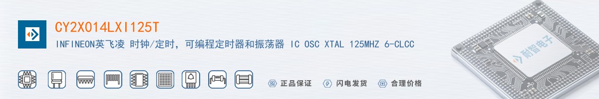 CY2X014LXI125T������