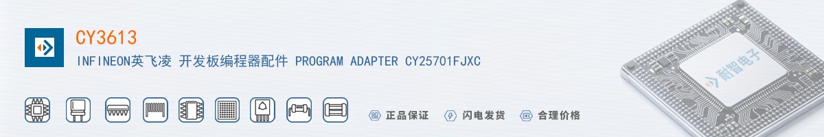 CY3613������