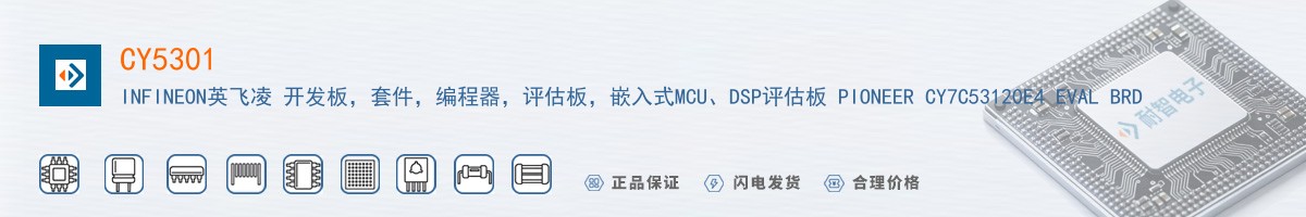 CY5301������