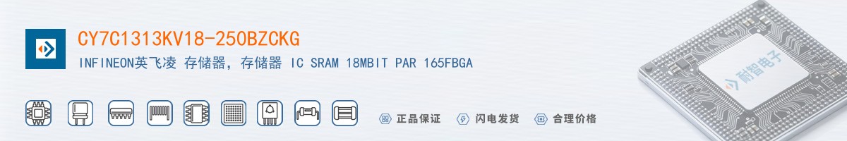 CY7C1313KV18-250BZCKG������