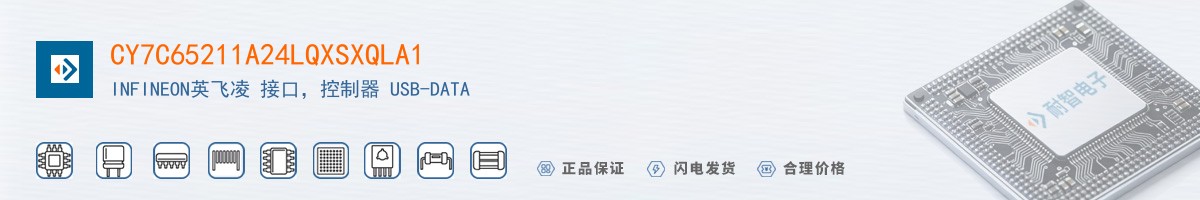 CY7C65211A24LQXSXQLA1������