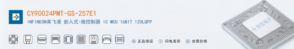 CY90024PMT-GS-257E1������