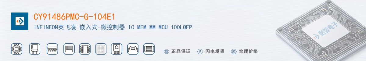 CY91486PMC-G-104E1������