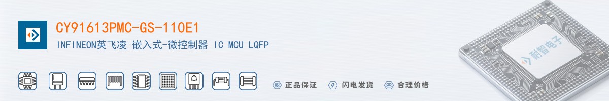 CY91613PMC-GS-110E1������