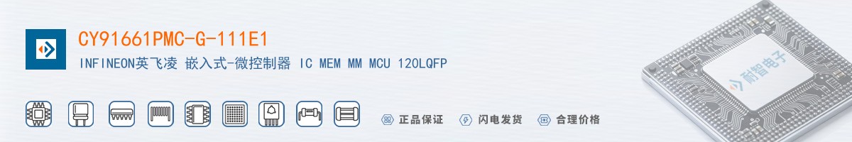 CY91661PMC-G-111E1������