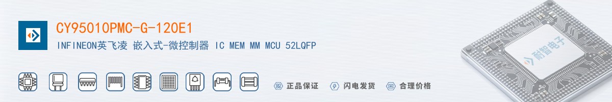 CY95010PMC-G-120E1������