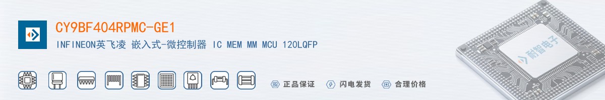 CY9BF404RPMC-GE1������